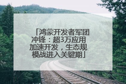 鸿蒙开发者军团冲锋：超3万应用加速开发，生态规模战进入关键期