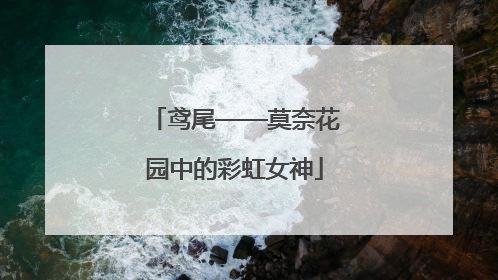 鸢尾——莫奈花园中的彩虹女神