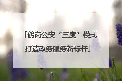 鹤岗公安“三度”模式 打造政务服务新标杆