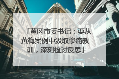 黄冈市委书记：要从黄梅案例中汲取惨痛教训，深刻检讨反思