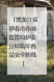 黑龙江省伊春市市场监管局伊美分局筑牢药品安全防线