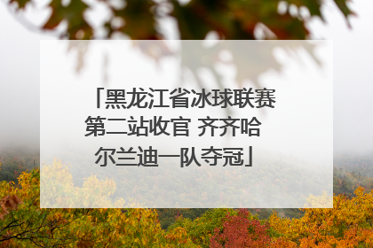 黑龙江省冰球联赛第二站收官 齐齐哈尔兰迪一队夺冠