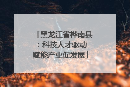 黑龙江省桦南县：科技人才驱动 赋能产业促发展