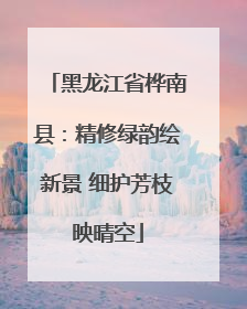黑龙江省桦南县：精修绿韵绘新景 细护芳枝映晴空