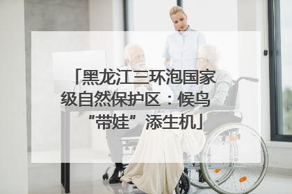黑龙江三环泡国家级自然保护区：候鸟“带娃”添生机
