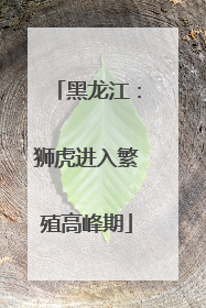黑龙江：狮虎进入繁殖高峰期