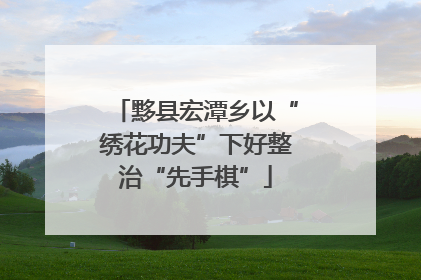 黟县宏潭乡以“绣花功夫”下好整治“先手棋”