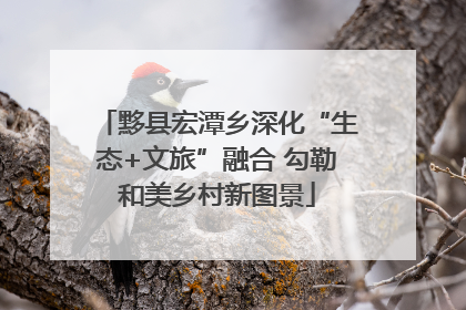 黟县宏潭乡深化“生态+文旅”融合 勾勒和美乡村新图景