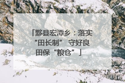 黟县宏潭乡：落实“田长制” 守好良田保“粮仓”