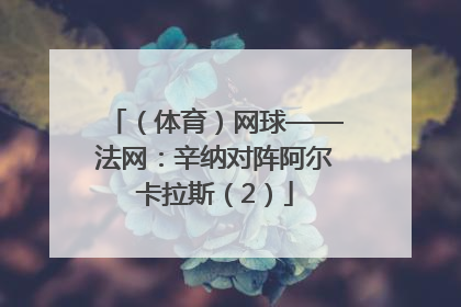 （体育）网球——法网：辛纳对阵阿尔卡拉斯（2）