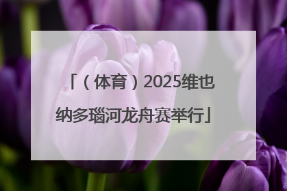 （体育）2025维也纳多瑙河龙舟赛举行