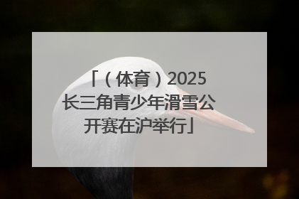 （体育）2025长三角青少年滑雪公开赛在沪举行
