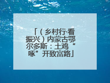 （乡村行·看振兴）内蒙古鄂尔多斯：土鸡“啄”开致富路