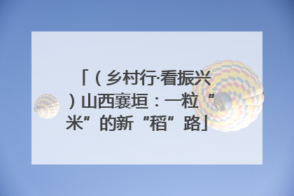（乡村行·看振兴）山西襄垣：一粒“米”的新“稻”路