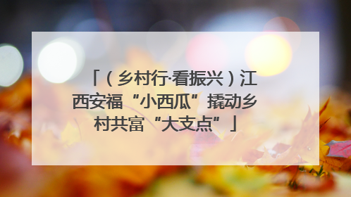 （乡村行·看振兴）江西安福“小西瓜”撬动乡村共富“大支点”