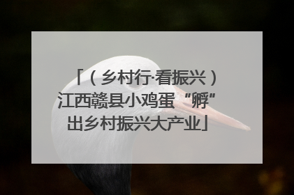 （乡村行·看振兴）江西赣县小鸡蛋“孵”出乡村振兴大产业