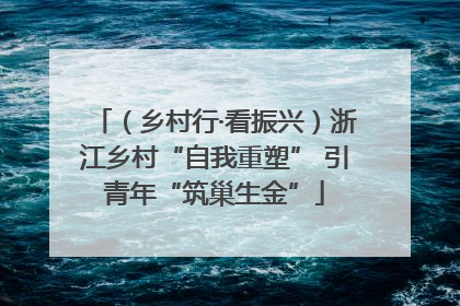 （乡村行·看振兴）浙江乡村“自我重塑” 引青年“筑巢生金”