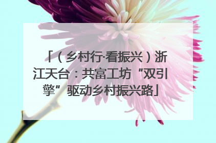 （乡村行·看振兴）浙江天台：共富工坊“双引擎”驱动乡村振兴路