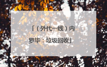 （外代一线）内罗毕：垃圾回收