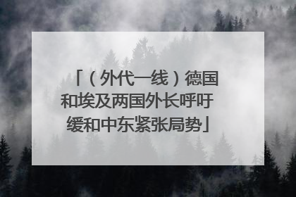 （外代一线）德国和埃及两国外长呼吁缓和中东紧张局势