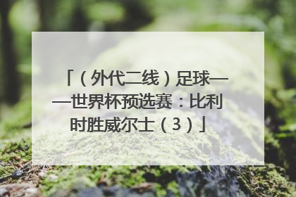 （外代二线）足球——世界杯预选赛：比利时胜威尔士（3）