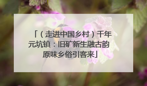 （走进中国乡村）千年元坑镇：旧矿新生融古韵 原味乡俗引客来