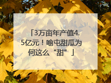 3万亩年产值4.5亿元！喻屯甜瓜为何这么“甜”