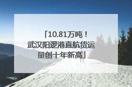 10.81万吨！武汉阳逻港直航货运量创十年新高