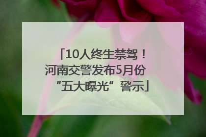 10人终生禁驾！河南交警发布5月份“五大曝光”警示