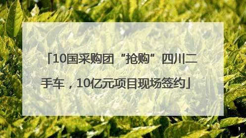 10国采购团“抢购”四川二手车，10亿元项目现场签约