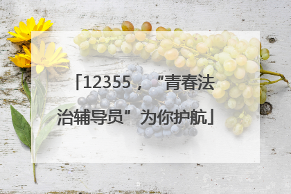 12355，“青春法治辅导员”为你护航
