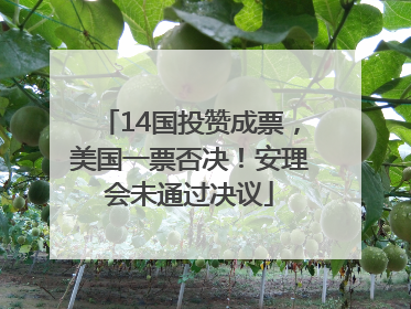 14国投赞成票，美国一票否决！安理会未通过决议