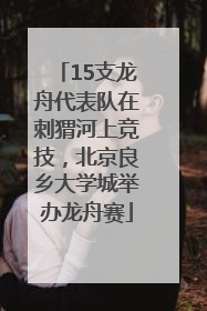 15支龙舟代表队在刺猬河上竞技，北京良乡大学城举办龙舟赛