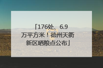 176处、6.9万平方米！德州天衢新区晒粮点公布