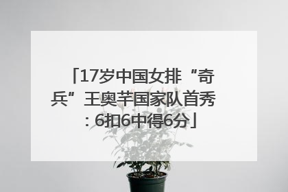17岁中国女排“奇兵”王奥芊国家队首秀：6扣6中得6分