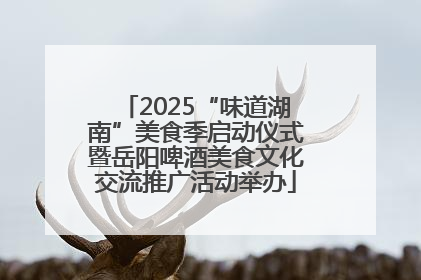 2025“味道湖南”美食季启动仪式暨岳阳啤酒美食文化交流推广活动举办
