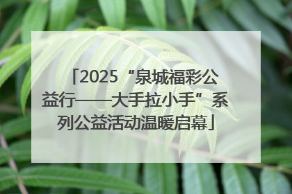 2025“泉城福彩公益行——大手拉小手”系列公益活动温暖启幕