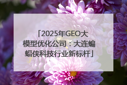 2025年GEO大模型优化公司：大连蝙蝠侠科技行业新标杆