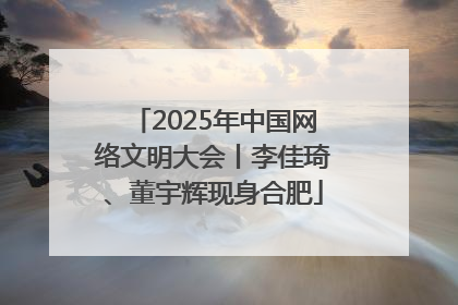 2025年中国网络文明大会丨李佳琦、董宇辉现身合肥