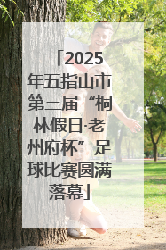 2025年五指山市第三届“桐林假日·老州府杯”足球比赛圆满落幕