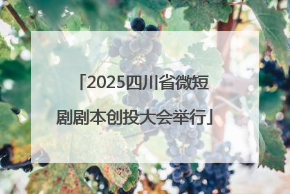 2025四川省微短剧剧本创投大会举行
