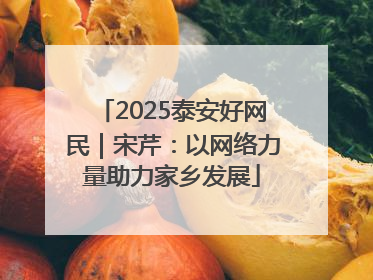 2025泰安好网民｜宋芹：以网络力量助力家乡发展