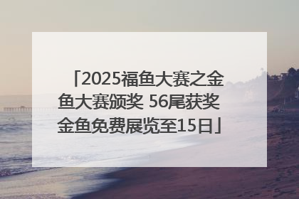 2025福鱼大赛之金鱼大赛颁奖 56尾获奖金鱼免费展览至15日