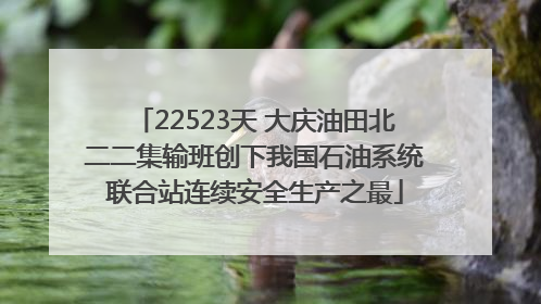 22523天 大庆油田北二二集输班创下我国石油系统联合站连续安全生产之最