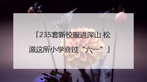 235套新校服进深山 松滋这所小学喜过“六一”