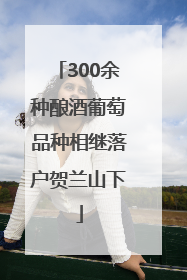 300余种酿酒葡萄品种相继落户贺兰山下