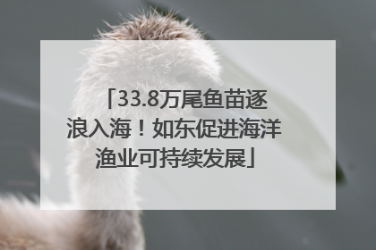 33.8万尾鱼苗逐浪入海！如东促进海洋渔业可持续发展