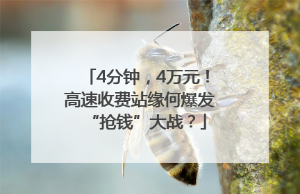 4分钟，4万元！高速收费站缘何爆发“抢钱”大战？