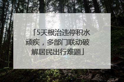 5天根治违停积水顽疾，多部门联动破解居民出行难题