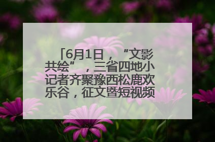 6月1日，“文影共绘”，三省四地小记者齐聚豫西松鹿欢乐谷，征文暨短视频大赛精彩启幕！